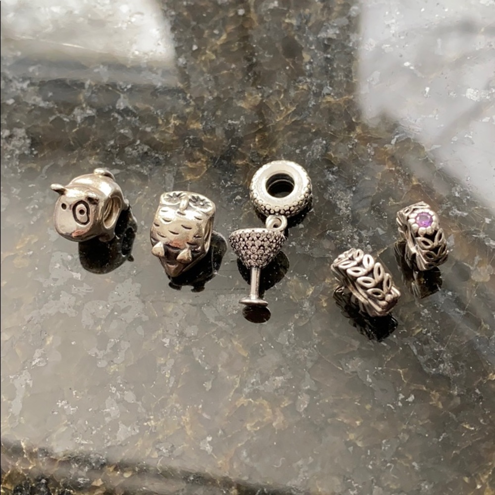 Pandora charms